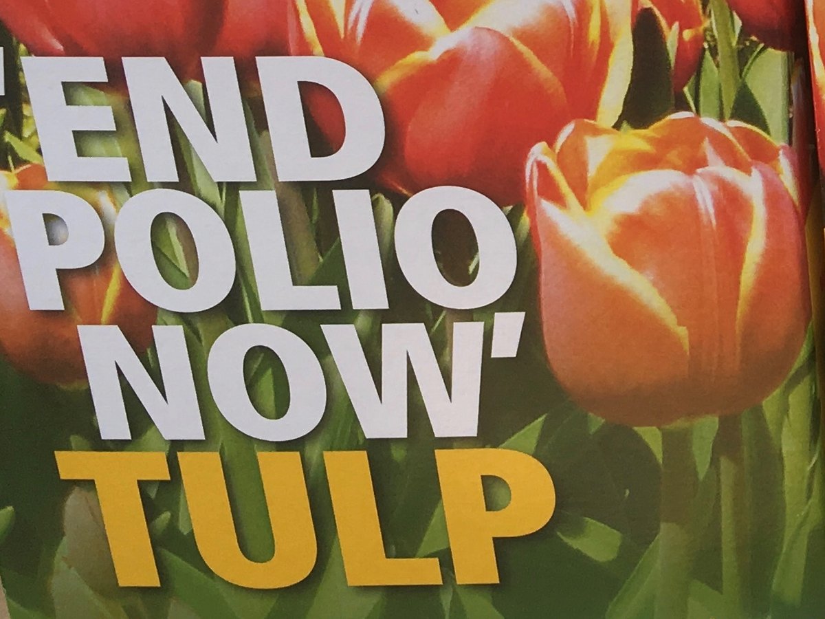 Wow!!! Maar liefst 23.520 zijn levenslang geholpen door onze jaarlijkse tulpenbollenactie. We verkochten als club 196 dozen tulpenbollen. Met de opbrengst kunnen duizenden kinderen gevaccineerd worden. En de Rotary gaat door tot polio de wereld uit is!
