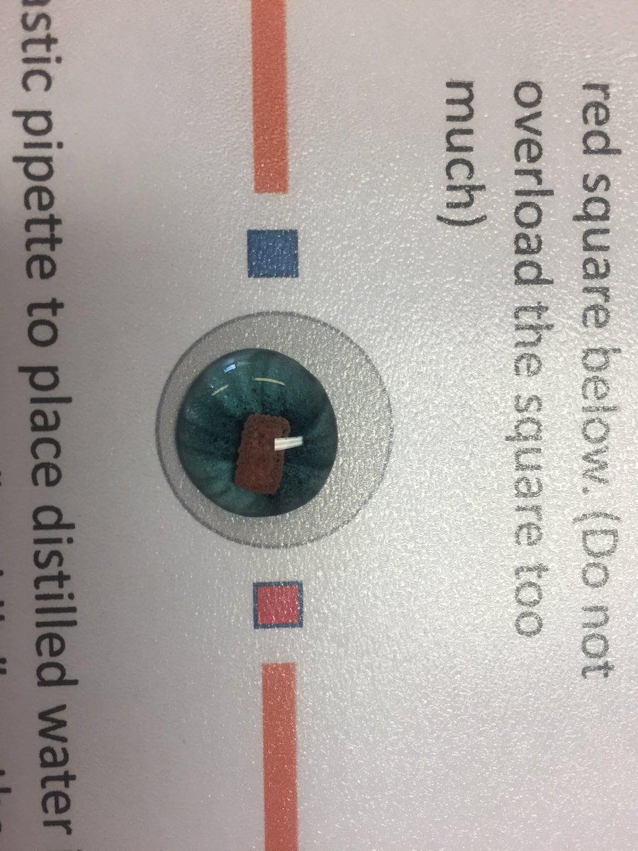 This worked really nicely when I added zinc to copper sulphate. Look at the trails growing in the puddle! #cleapps ⁦<a href="/RSC_EiC/">EiC</a>⁩ ⁦<a href="/UncleBo80053383/">UncleBob</a>⁩