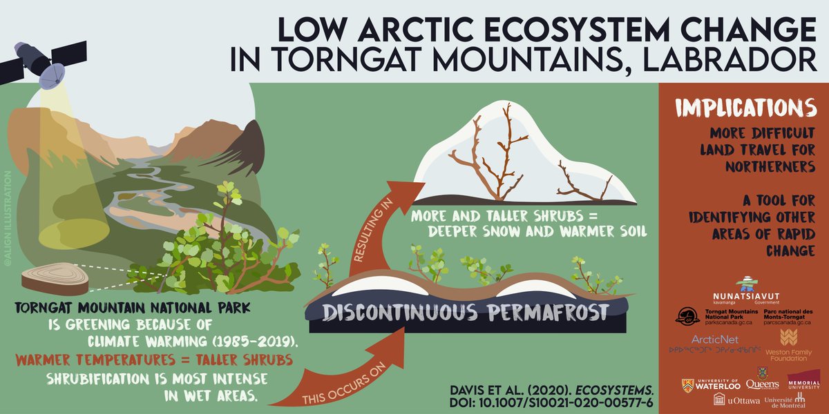 ajtrant's tweet photo. If you are interested in arctic ecosystem change using dendro, permafrost &amp; remote-sensed greening -- check out our new paper led by @ers_uw PDF extraordinaire 
@EmmaLaurelD , w/impt collaborators @ParksCanada
 @NunatsiavutGov @ArcticNet @WestonFdn 

OA: https://t.co/ay2Yf6B9Pn https://t.co/1iHNGgDSLG