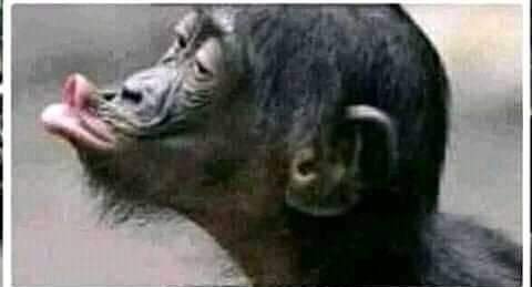 Mwas86573797's tweet photo. @ItsMutai Endeni mpiganie palee! https://t.co/6WQi8UYHkP