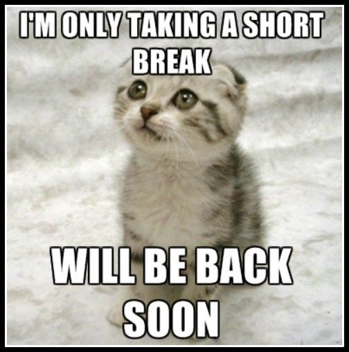 LisaMcanish's tweet photo. My spoons are officially depleted. I’m taking a little break from social media and cutting my work down for a few weeks to restore them. Take care of your mental health everyone during these tough times. I’ll see you on the other side. https://t.co/L5nN7QUfwy