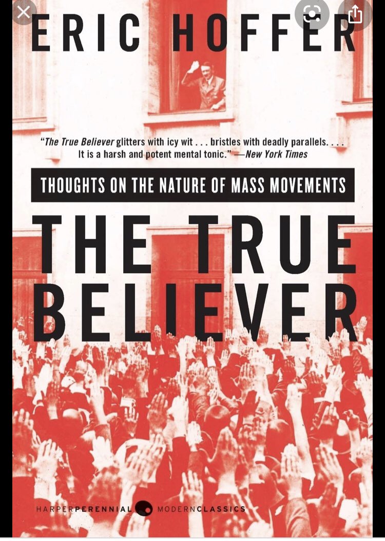 ruoning wang（王若宁） tweet media