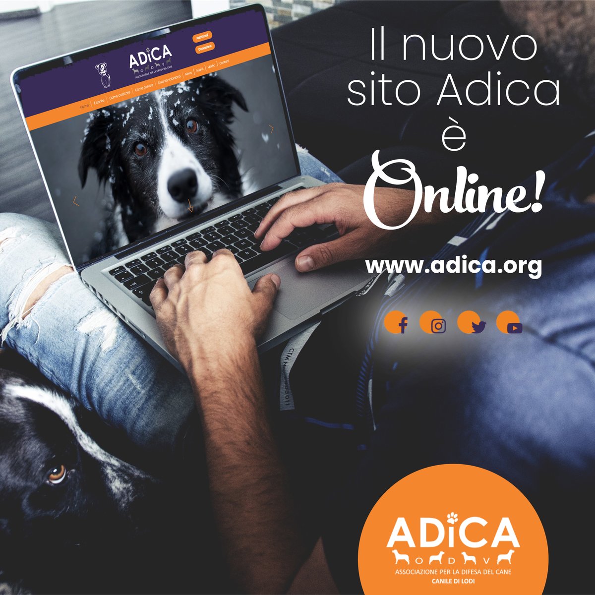 ADICA Associazione per la Difesa del Cane - ODV tweet media