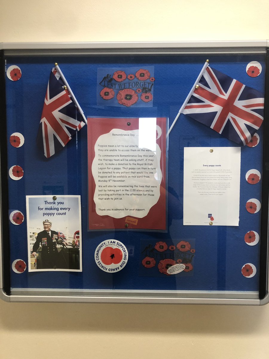 strie's tweet photo. Our 6b ward display for remembrance day 11/11/20 made by our fabulous Therapy Assistant Karen Mock. @BritishLegionRX https://t.co/YtLxOo1DAj
