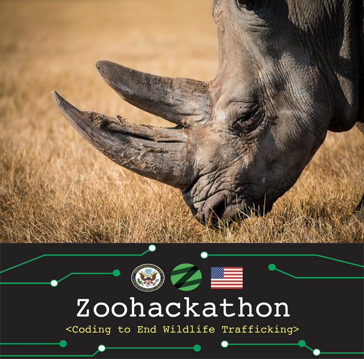 UNODC_ENV's tweet photo. The first ever virtual, global #Zoohackathon will bring together coders, designers, and conservationists to develop innovative apps & tools to combat #wildlifecrime.
Starting in 30 mins❗️
Watch here: https://t.co/wjMTFHirzN
#ITfortheplanet #zoohackathon2020
🦏🐆🐦🐍🐟 https://t.co/8lQAOjklAe
