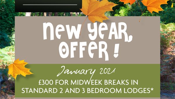 2020 has been a shocker, so lets start 2021 with a bang! Early morning walks in the #forest, evenings by the wood burner, late night dips in the hot tub. We have a special offer of £300 for midweek breaks in our 2 &amp; 3 bed lodges in Jan 2021 #visitdorset
burnbake.com/january-2021-n…