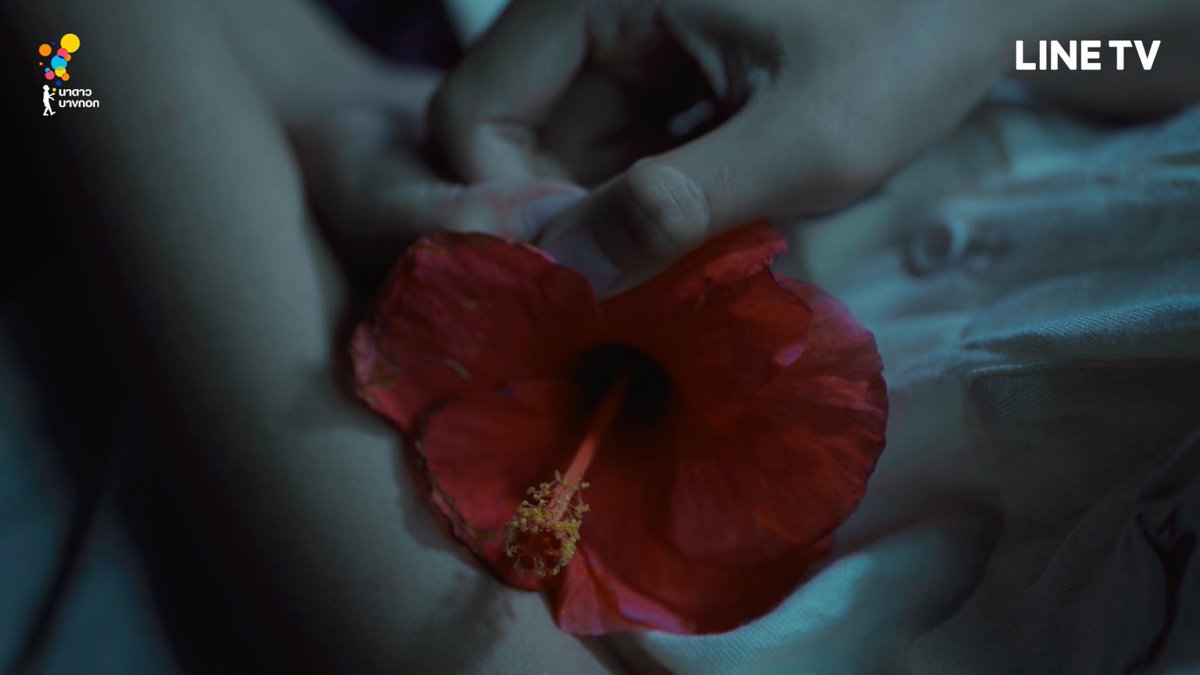 teh's feelings for ohaew went from a small and barely visible circle on someone he was projecting his feelings onto, to a big vibrant flower in the crook of his own hand.