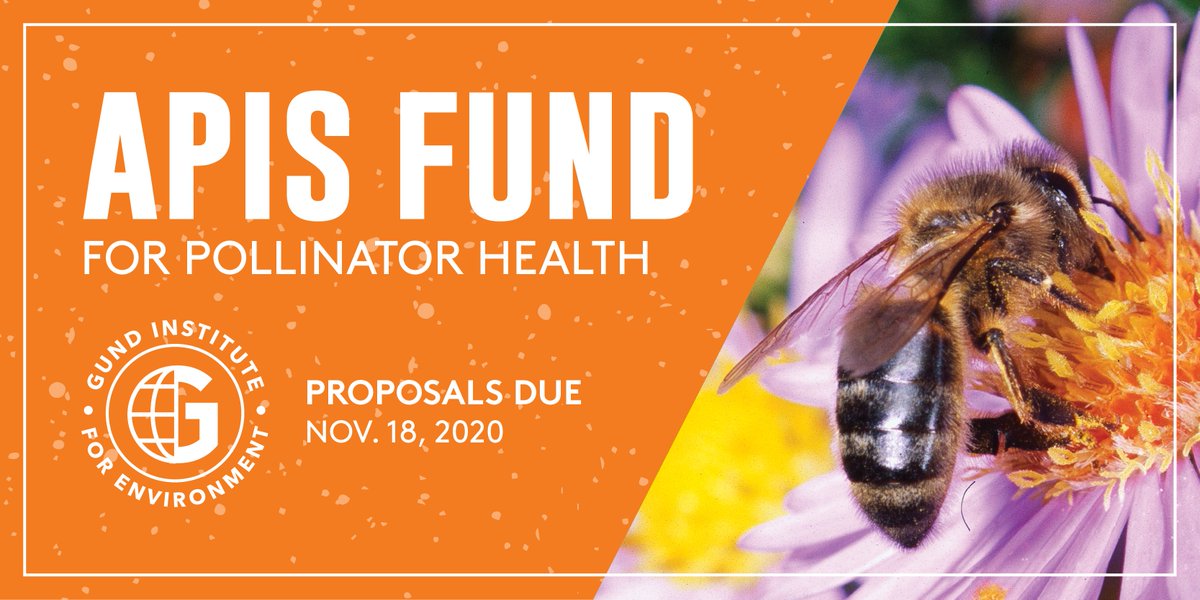 VTBeeLab's tweet photo. The Gund Institute at the University of Vermont is now accepting application for the Apis Fund which is a grant that supports research on the conservations of our pollinators.
Learn more and submit proposals via the Apis Fund webpage!
https://t.co/HECAnD1HJO... https://t.co/e4PkTj7rE5