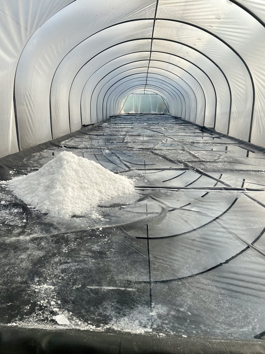 Being the most southerly solar sea salt producers in the British Isles we are still able to produce solar evaporated salt in November. Jersey you beauty.  #solar #seasalt #sustainable <a href="/GenuineJsy/">Genuine Jersey</a> <a href="/VisitJerseyCI/">Visit Jersey</a>
