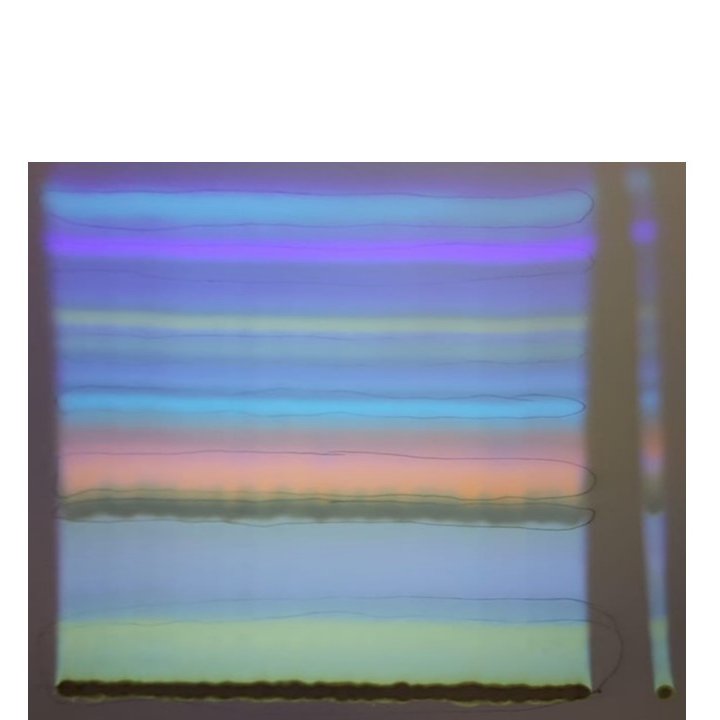 Paola Manini (@paola_manini) on Twitter photo What's your favourite colour?🌈Today for the #FluorescenceFriday you can choose one from this beautiful PLC plate from <a href="/ML_Alfieri/">Maria Laura Alfieri</a> What's your favourite colour?🌈Today for the #FluorescenceFriday you can choose one from this beautiful PLC plate from <a href="/ML_Alfieri/">Maria Laura Alfieri</a>