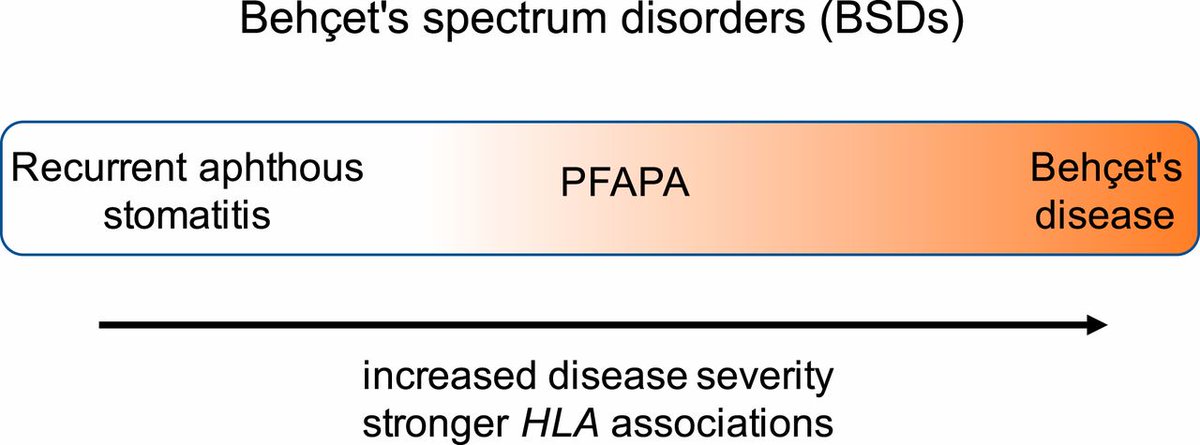 Genetics susceptibility for  #PFAPA https://www.pnas.org/content/117/25/144053 large PFAPA cohortsPFAPA shares risk loci with Behcet’s - IL12ABehcet’s spectrum disorder with stronger HLA associations #ACR20  #ACRambassador
