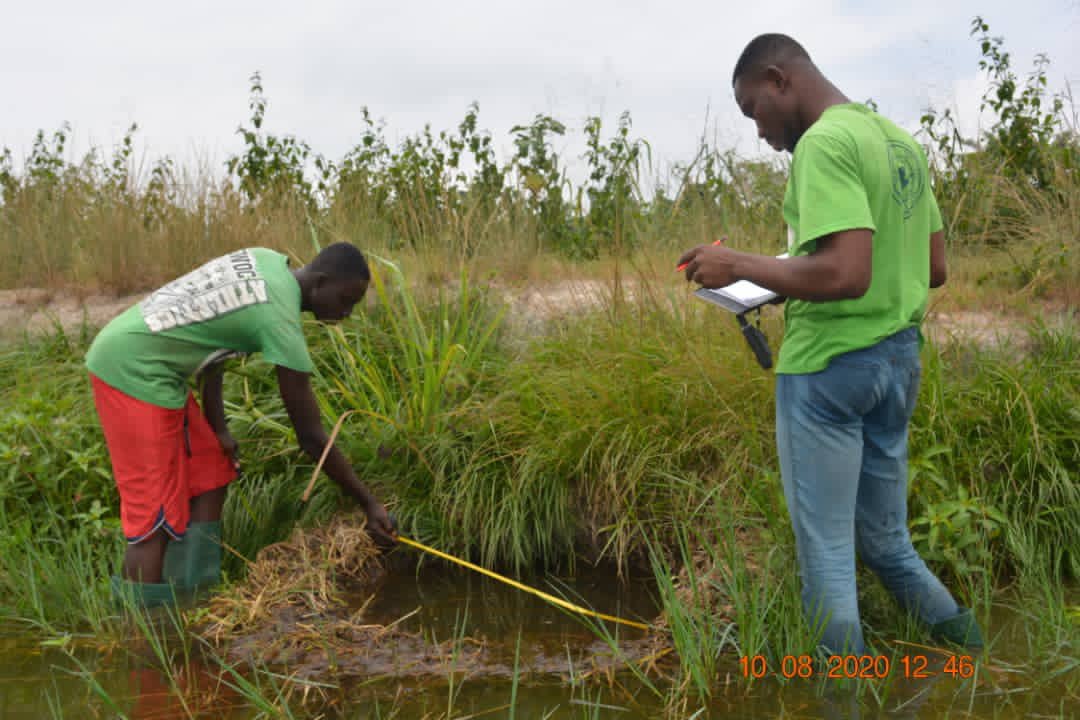 Dept of Fisheries & Watershed Mgt, KNUST tweet media