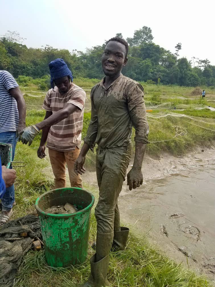 Dept of Fisheries & Watershed Mgt, KNUST tweet media
