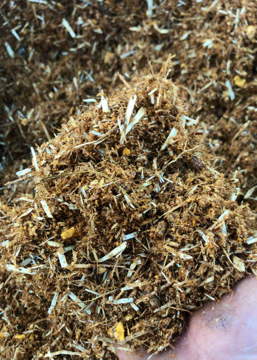 agiggins's tweet photo. Home produced calf mix providing balanced source of protein, long fibre, starch &amp; mins/vits for optimum rumen development https://t.co/43sA09OzPj