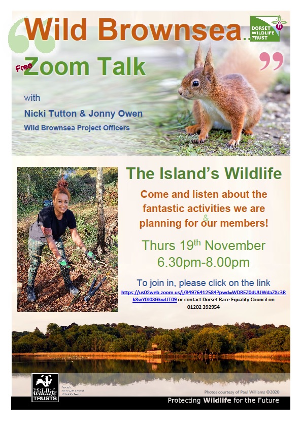 DorsetREC's tweet photo. Sign up to this event here: https://t.co/SJy962vrKn https://t.co/8u2CY8b8px