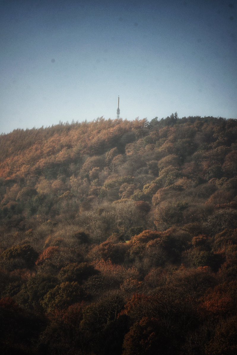Autumn adventures from the door having a play with the camera and exploring manual mode 

#photography #photooftheday #autumn #hiking #lockdown2 #ukhikers #amatuerphotography