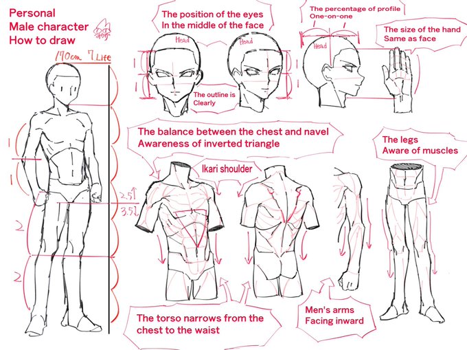 外国人から男の子の描き方を聞かれたので参考図を描いた 