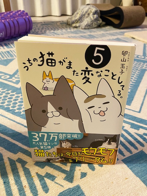 11/15(日)ダヴィンチストアさんで
「うちの猫がまた変なことしてる。」5巻のサイン本を10冊販売予定です٩( ᐛ )و
抽選は11:00～12:00まで受付です。お時間があったらぜひ◎
密を避けて抽選するそうなので、お気をつけてゆっくりお越しくださいませー!! 