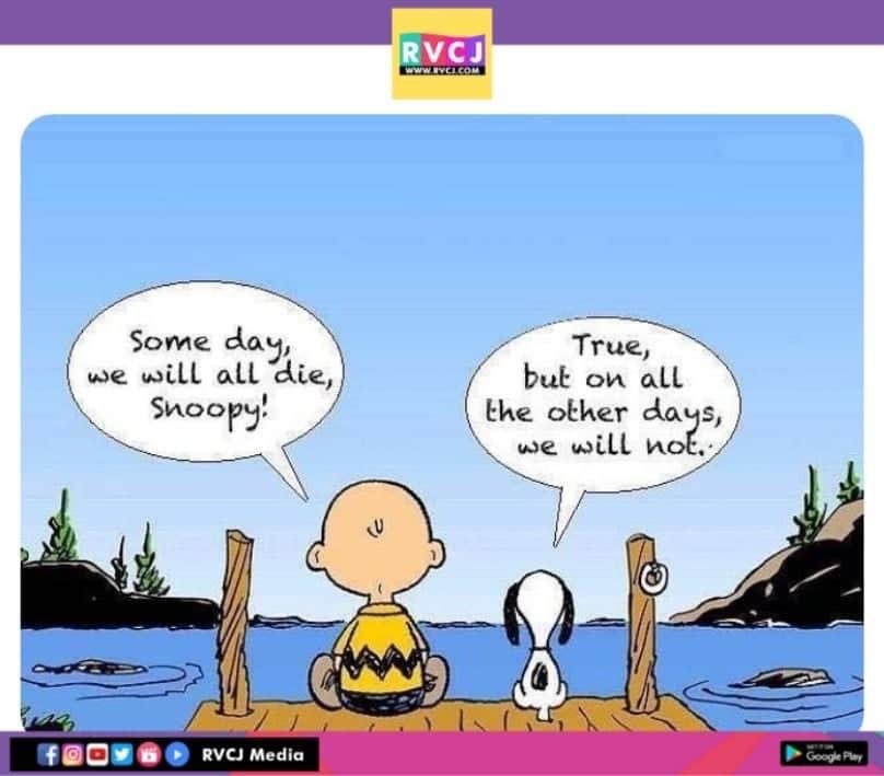 rvcjmovies's tweet photo. Exactly β₯οΈ
#snoopy #snoopyquotes #snoopydog #rvcjmovies https://t.co/jYgfLyawa9