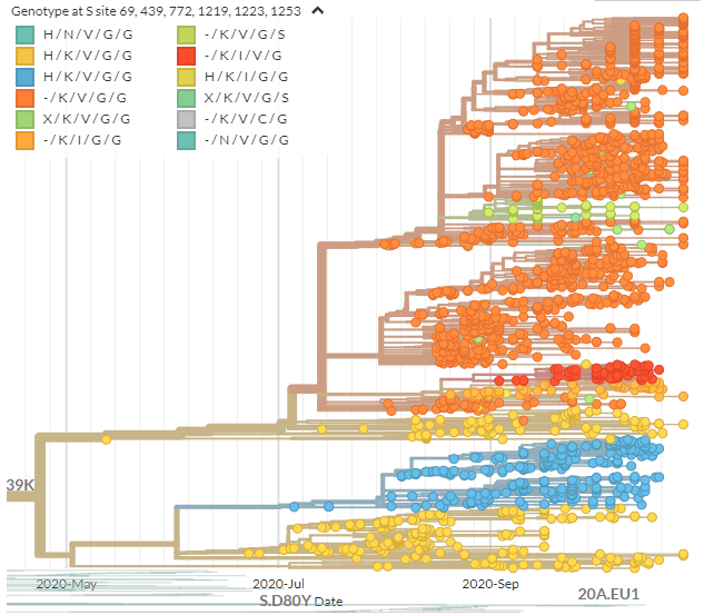 If we color by some of the spike mutations in 439K cluster - there is *a lot* of diversity. This underscores that mutations in spike aren't uncommon & may not always be interesting.Scientists mostly focus on those in the receptor binding domain.47/21 https://nextstrain.org/groups/neherlab/ncov/S.N439K?c=gt-S_69,439,772,1219,1223,1253&f_region=Europe&label=clade:S.N439K&r=country
