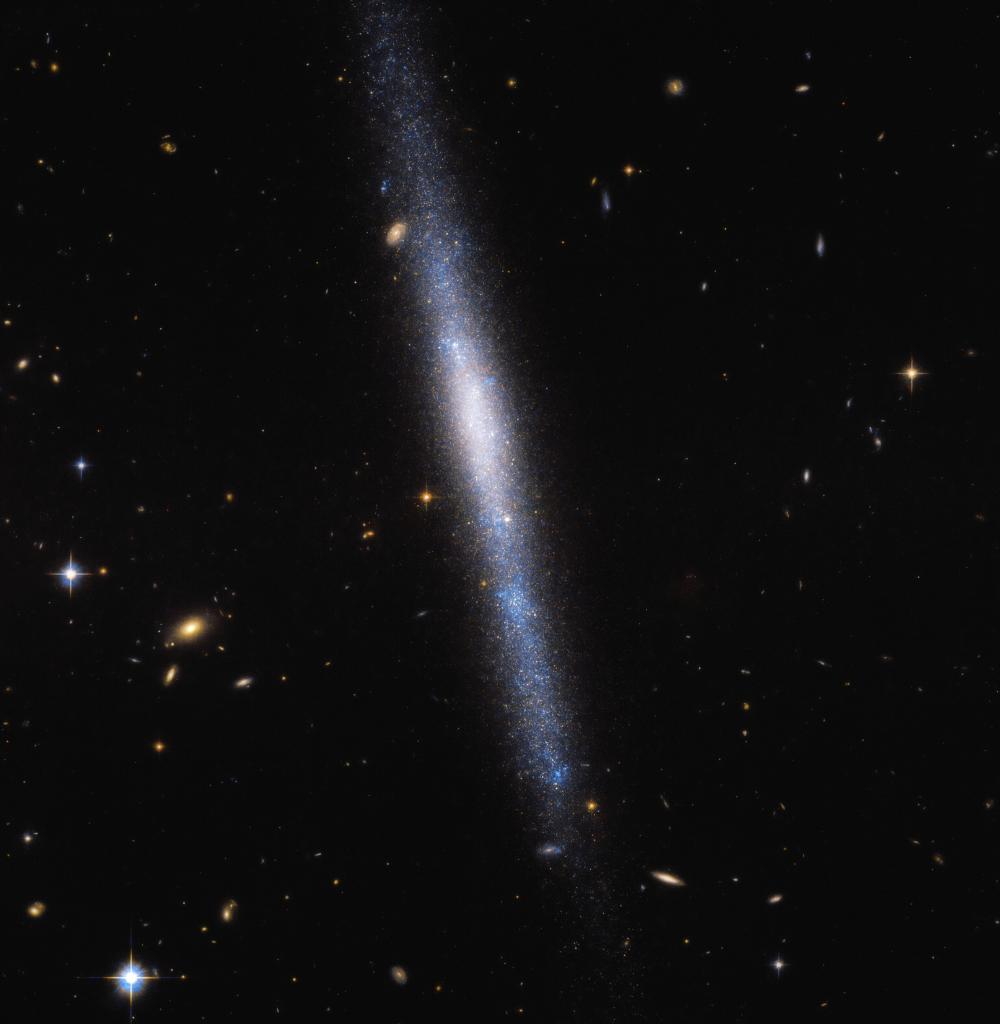 NASAHubble's tweet photo. This galaxy is "hot." 😎 To be precise, some of the stars pictured in this Hubble image are over six times hotter than our Sun! The blue color of this galaxy, UGCA 193, shows that many of its stars “burn” at very high temperatures: https://t.co/kUzko3vSkX

#HubbleFriday https://t.co/C7FZ9y4ChP