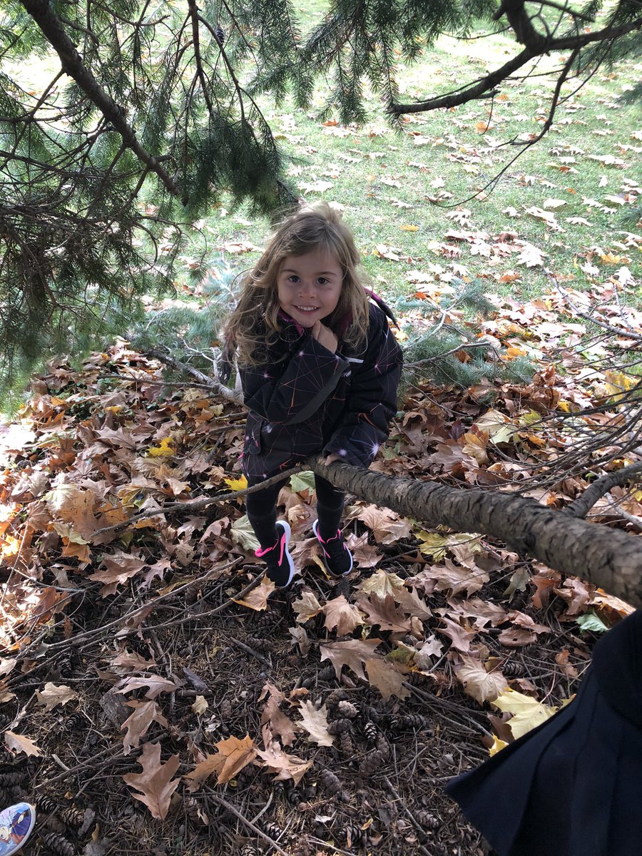 MsWilsonhrb's tweet photo. “To climb a tree is for a child to discover a new world” -Froebel #takingrisks #climbingtrees #problemsolving #learningsafety #naturalplay #outdoorlearning #hcdsbk @kindie101 https://t.co/s8nEqe5Aug