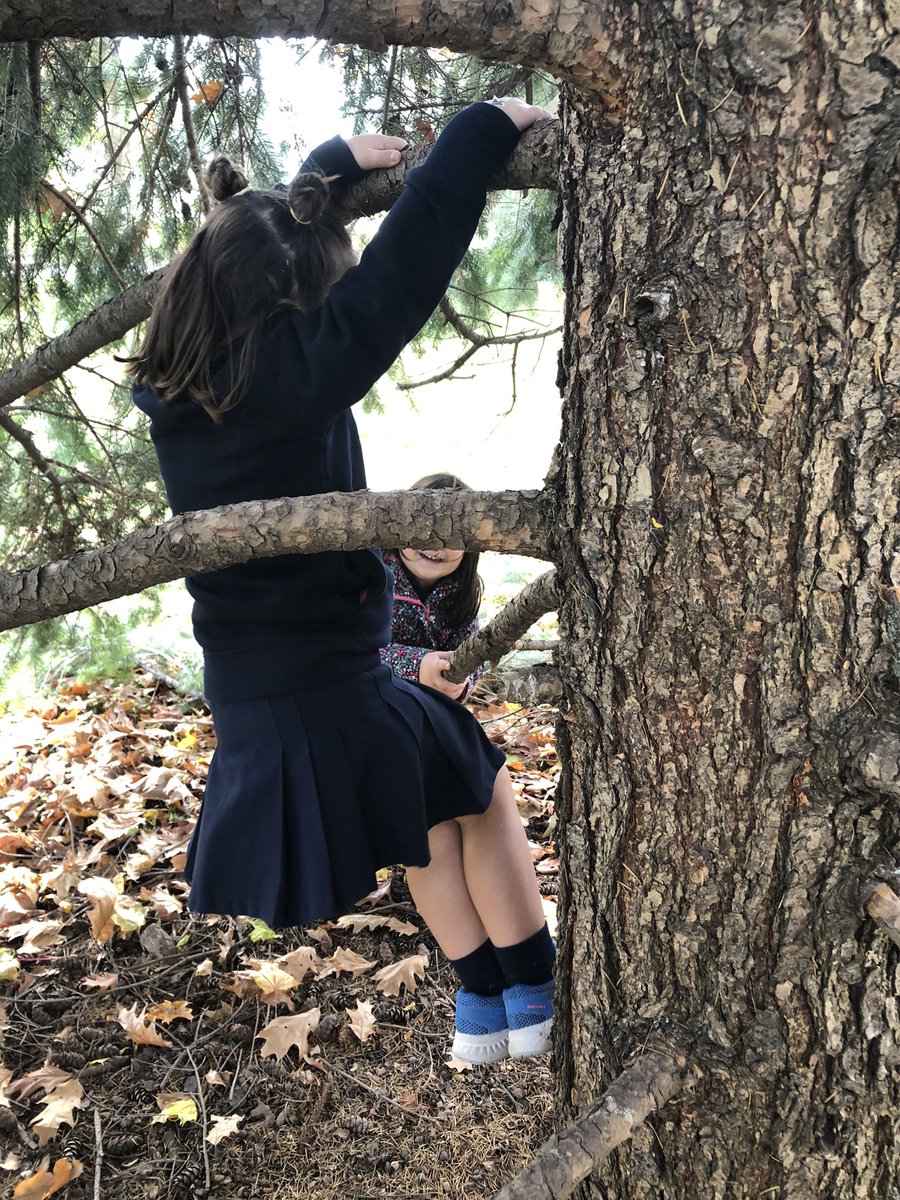 MsWilsonhrb's tweet photo. “To climb a tree is for a child to discover a new world” -Froebel #takingrisks #climbingtrees #problemsolving #learningsafety #naturalplay #outdoorlearning #hcdsbk @kindie101 https://t.co/s8nEqe5Aug