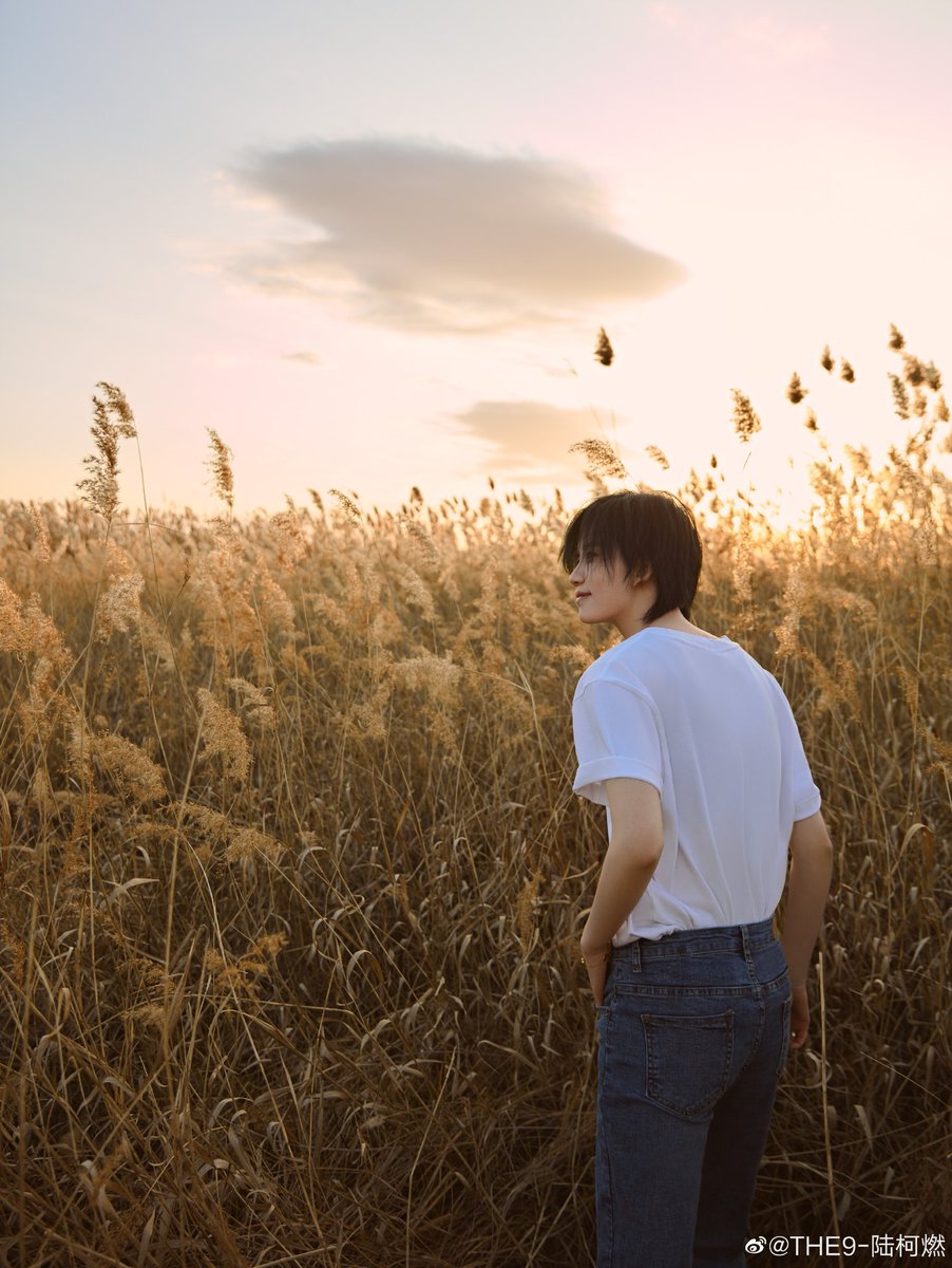 TOVarchive's tweet photo. #LUKERAN #陆柯燃 https://t.co/C7iDEbaoQt