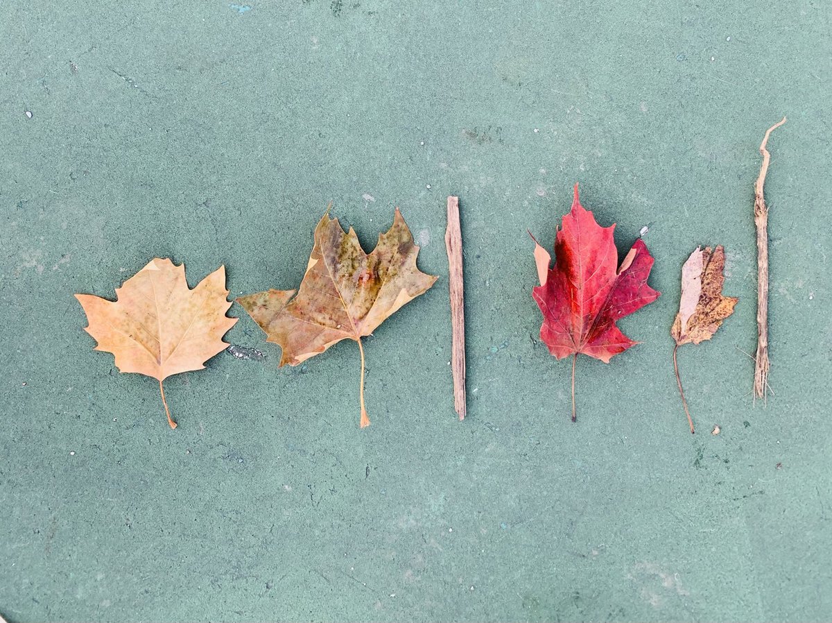 KB challenging themselves during outdoor time making patterns with nature they discovered 🍁🍂🍁  ⁦<a href="/LeeMaclennan/">Emma Lee</a>⁩  ⁦<a href="/UGKindie/">UGKindie</a>⁩