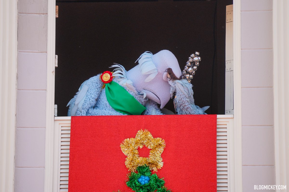 ToughPigs's tweet photo. The Muppets are back at Disney World, posing for selfies and decorating for the holidays! 

https://t.co/sGBoO4bGTC https://t.co/P5YarFOVML