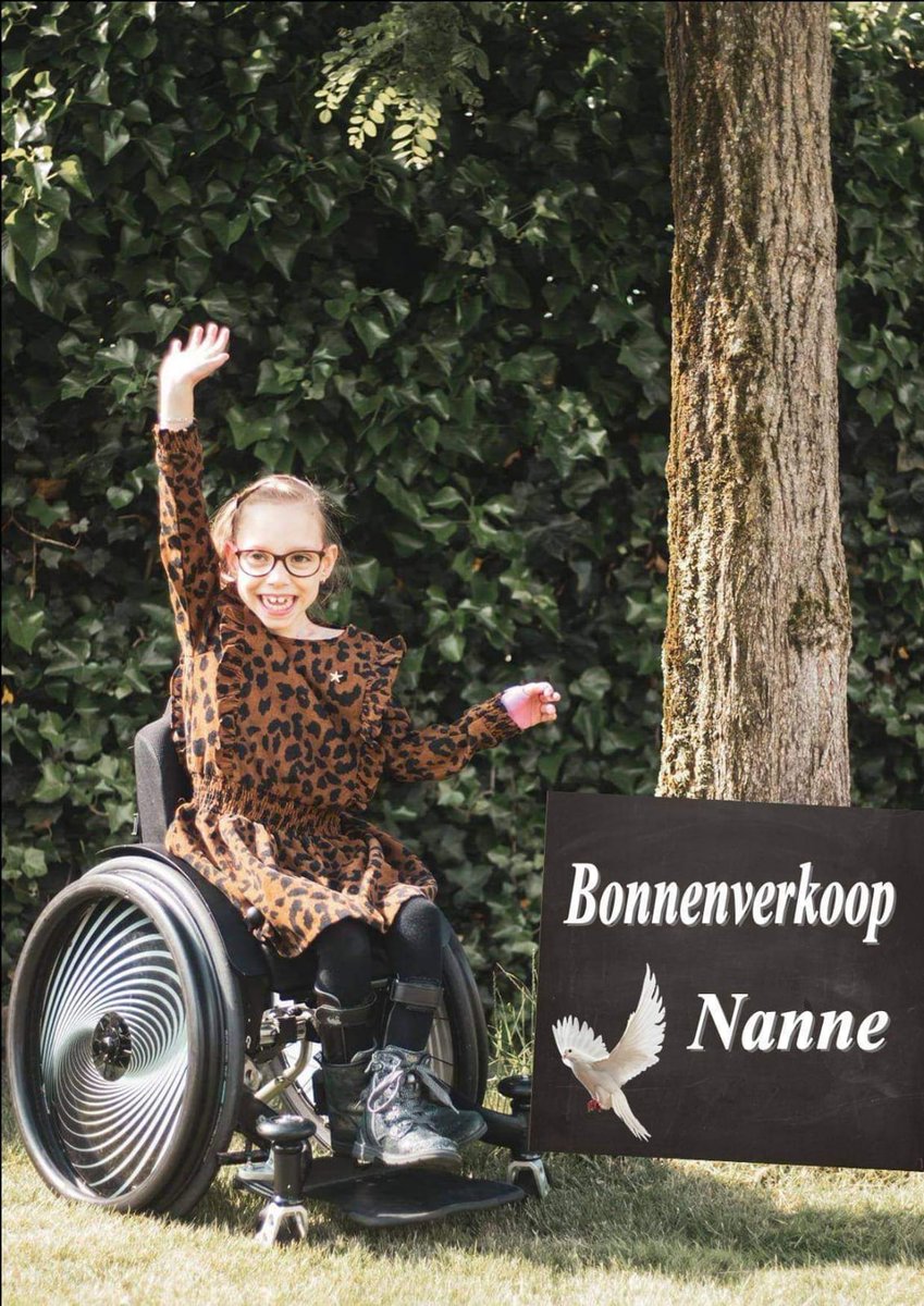 Duivensportbond tweet media