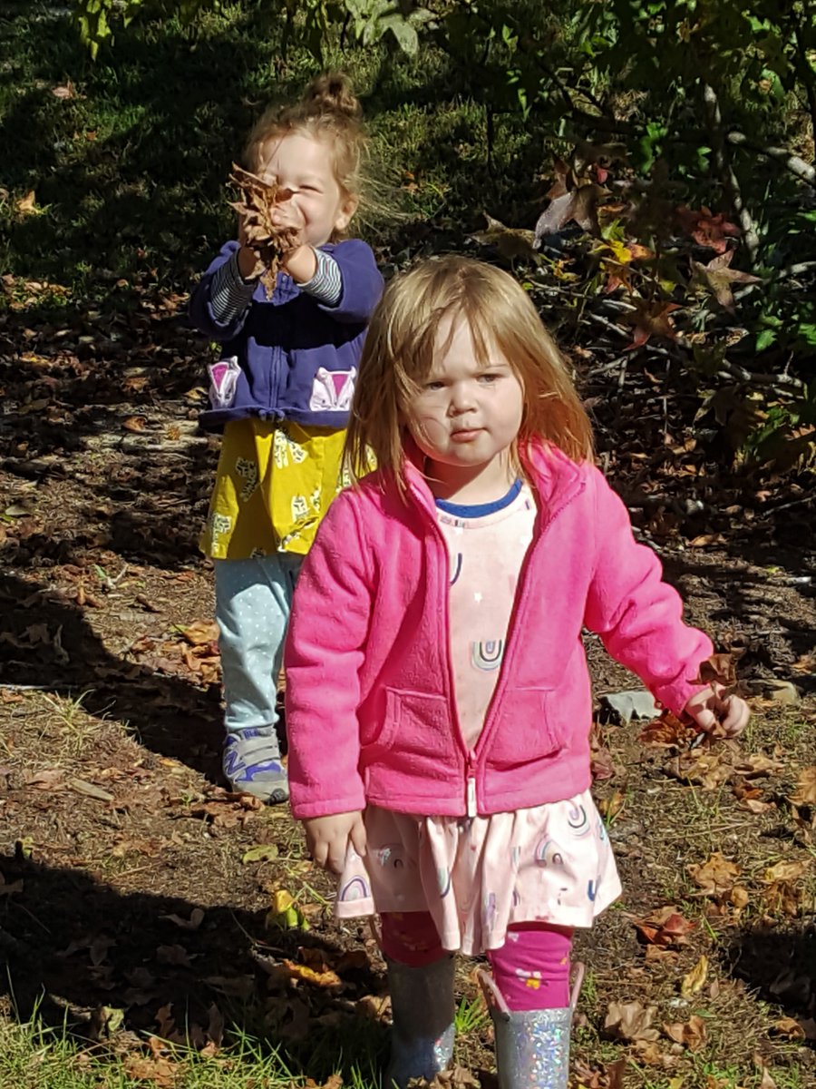 Shabbat Shalom! We hope everyone enjoys the beautiful weather this weekend. Try going on a leaves hunt like our Kofim preschoolers did this week or go on a nature walk🍂☀️ #TheLernerSchool #ShabbatShalom