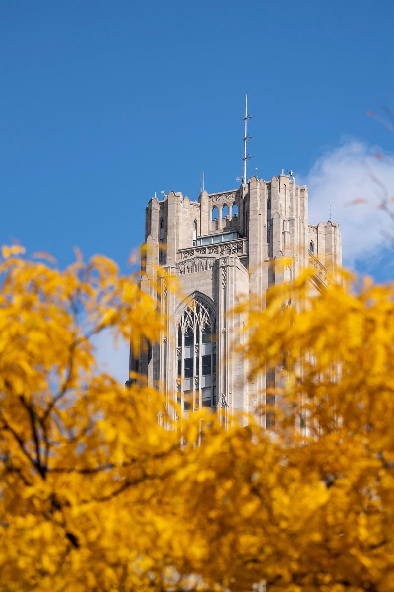 PittTweet's tweet photo. 💙 💛 https://t.co/kiia6oLfkA