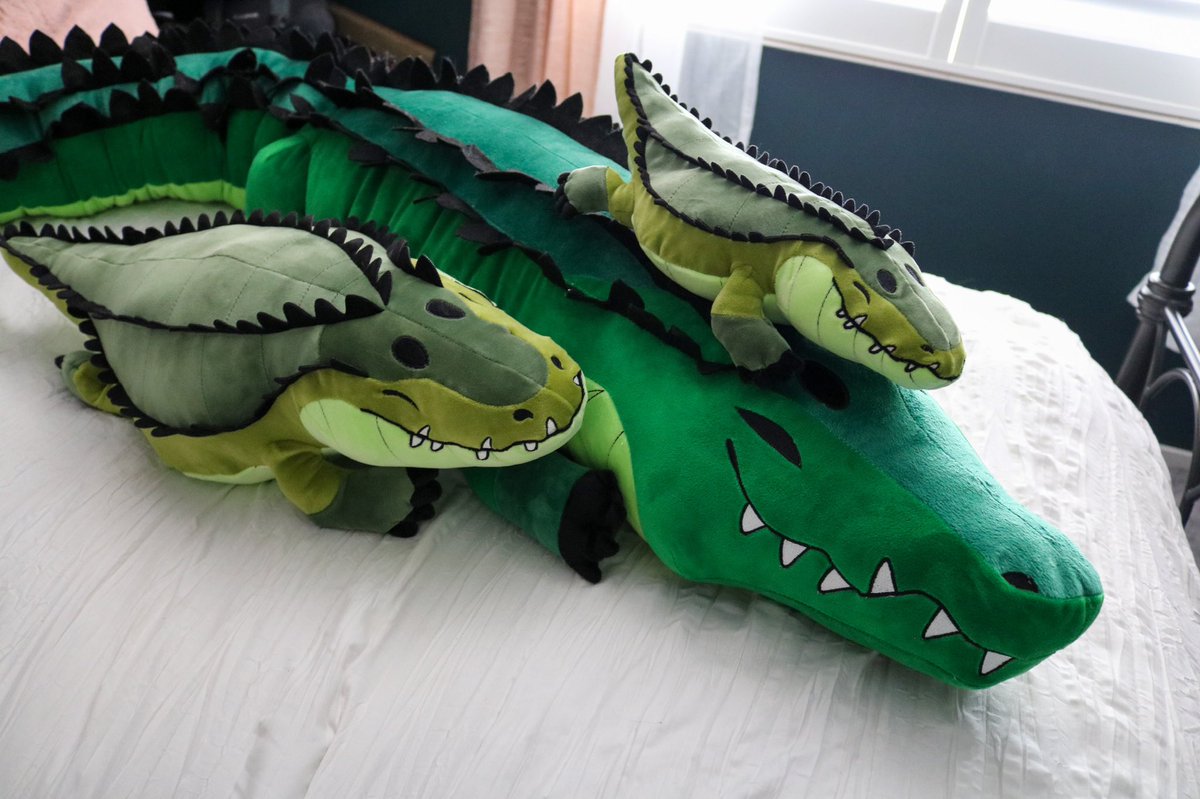 I've been so lucky to work with @_LususNaturae_ over the past few months on this SIX FOOT LONG gator plush.

Pre-orders are now LIVE at 👉creepcattoyco.com 🐊

You can use code 'gatorsdaily' for 10% off at checkout!