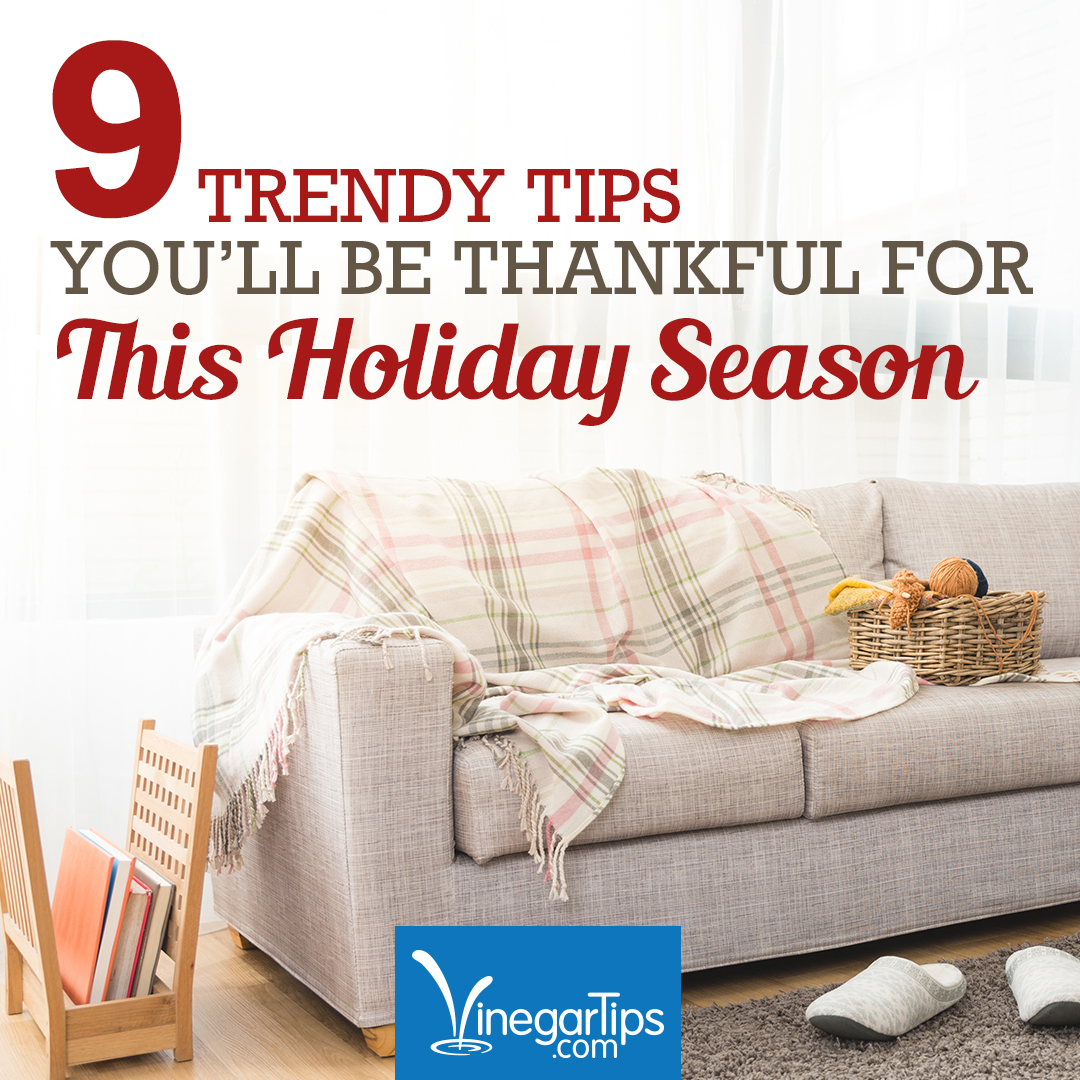 VinegarTips's tweet photo. Has it been a while since you've seen the salon? 🙈 Prevent hair color from fading by rinsing hair with one part vinegar to two parts cold water in the shower. Check out 8 other #vinegartips we are super thankful for this year here ➡️ https://t.co/sMU6uMdy8Y https://t.co/OTDQ9wGHzZ