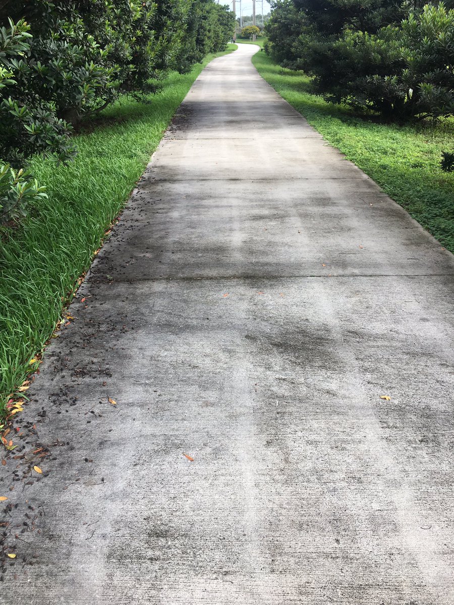 GodBodyXali's tweet photo. 5 different hustles , imma sleep when I’m dead 🖤😤 did this stretch quick af . #REGALIFE hml to beautify yo sidewalk , house , and whatever else you own https://t.co/prdcmHQCLx