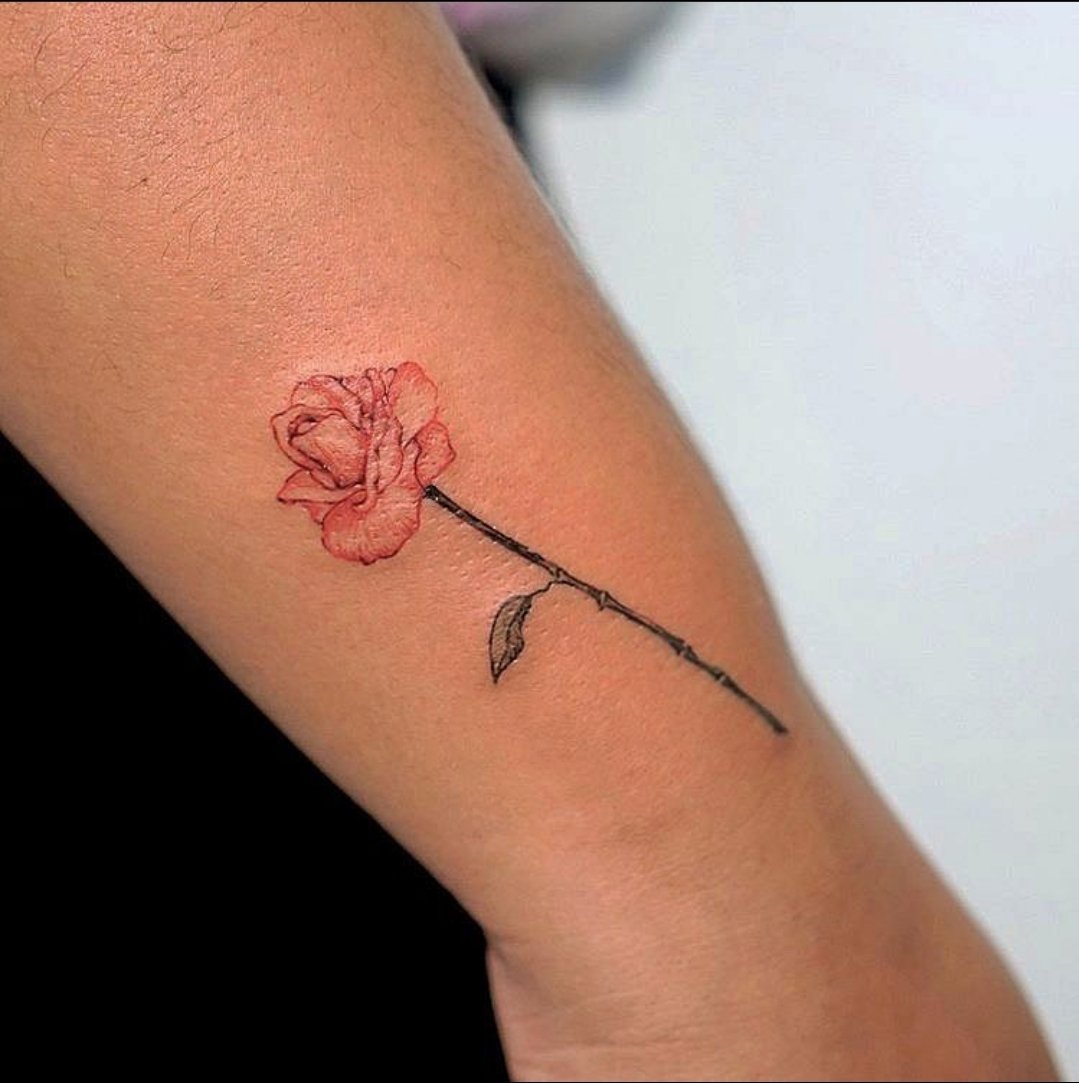 yantstudio's tweet photo. Tattoo by GU @tattoo.gu
#yantstudio #newyorktattoo 
#nyctattoo #queenstattoo #ink #inks #finelinetattoo #linework #fineline #singleneedle 
#colortattoo #tattoogirls 
#girlytattoo #animetattoo 
#blackandgreytattoo 
#watercolortattoo #smalltattoo 
#tinytattoo #rosetattoo https://t.co/AYhofgUmuc
