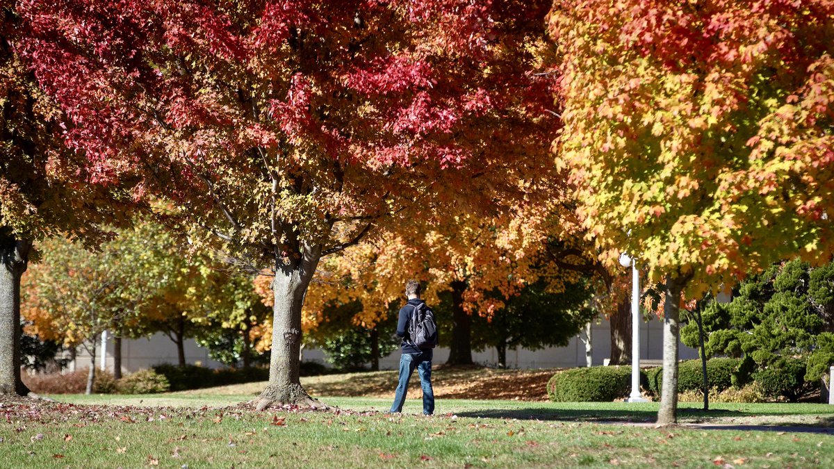 MissouriState's tweet photo. Just some fall campus pics to bless your timeline. #GoMaroon 🐻🍁 https://t.co/IN1gzl3uq6