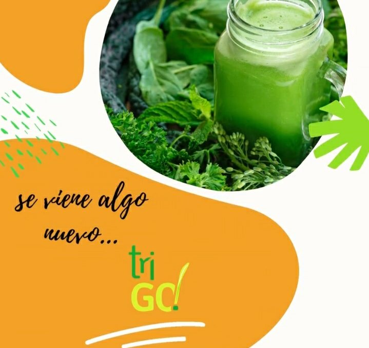 VictMoncada's tweet photo. 🔊Estamos terminando de preparar lo nuevo de tri-GO!! 🍹Estás list@ para redoblarle la apuesta ✅ a la revolución verde ❓❓❓
#wheatgrass #wheatgrassjuice #wheatgrassshots #wheatgrasspowder #wheatgrassshot #wheatgrassyum #wheatgrassfield #jugodetrigo #jugoverde #trigojugo https://t.co/yeLTQIn44g