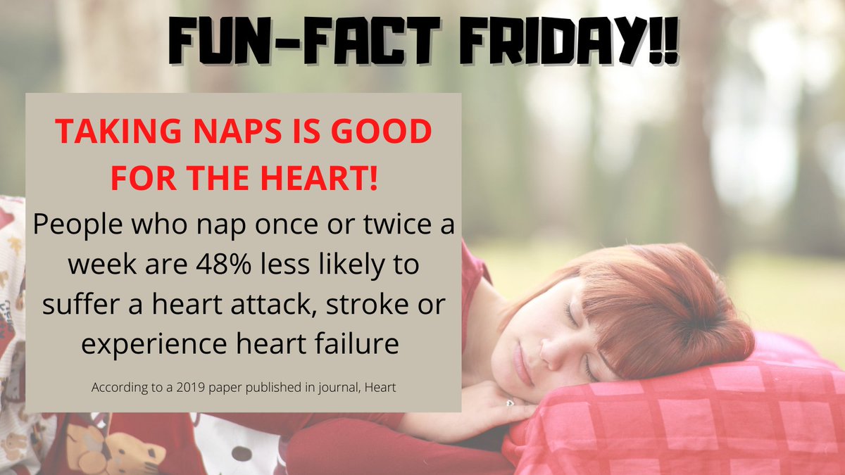 EmptyNestTimes's tweet photo. Finding all the politics exhausting? No need to feel guilty if you sneak off for an afternoon siesta...!! Taking naps is good for the heart😴😴💤 #FunFactFriday #Naptime #weekendvibes #exhausted https://t.co/0fKXqLT8hC
