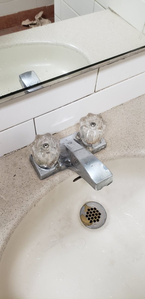 I found that bioterrorist squirrel from Ice Age hiding in an Alliston, Ontario Tim Hortons bathroom.

4 likes and I'll linguine that fucker right here and now #SaveTheGlaciers 🏔️