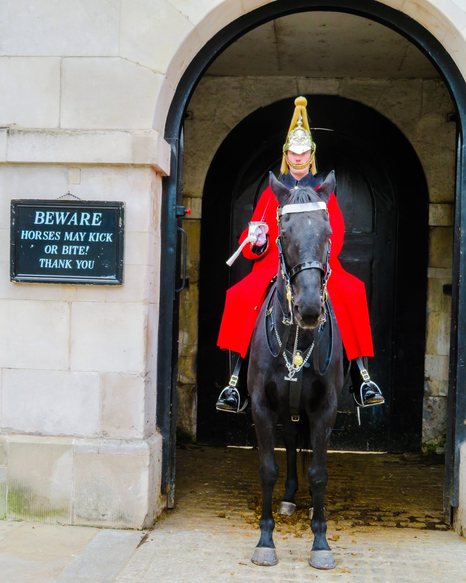 Today (Friday 6th November 2020) we saw at Buckingham Palace the Royal Logistic Corps and on Horse Guards The Queens Life Guards.
Photographer: Mark Leishman
#RoyalLogisticCorps #TrustedGuardians