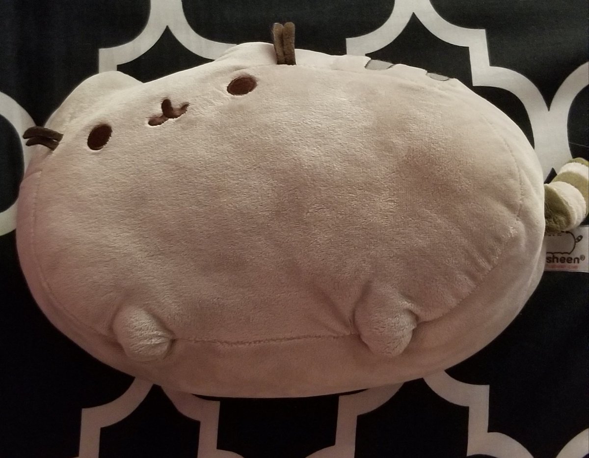 pusheen!!! 20/10 best girl. I love pusheen nd related stuff sm,, nd she's a very good friend when I'm doing hw nd get a bit too stressed