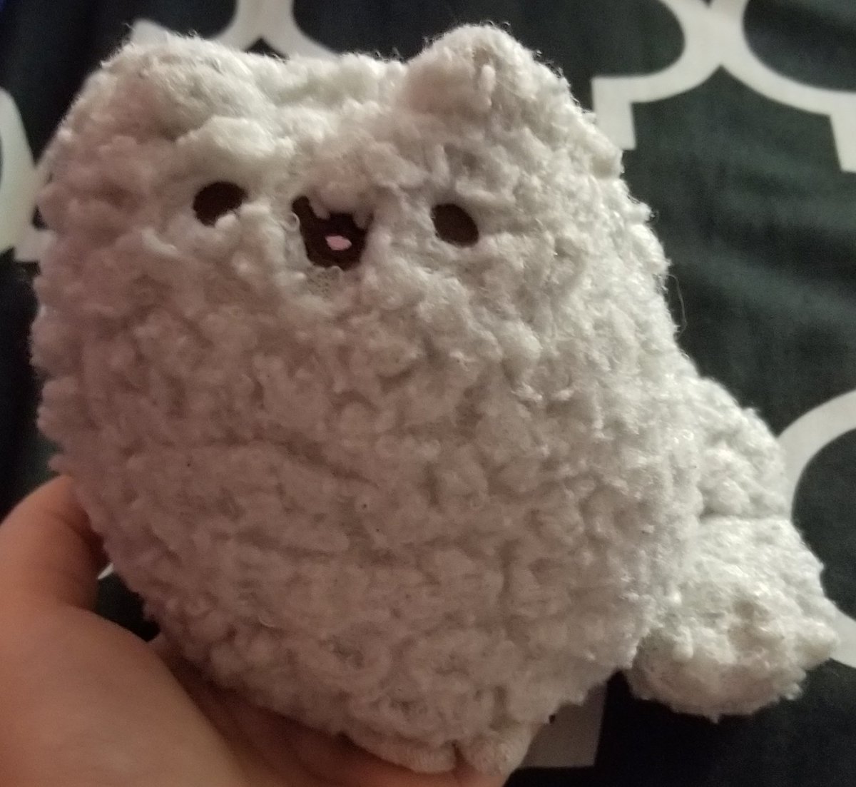 Stormy 15/10 I love the texture of her fur sm nd I also like that she's small enough that I can hold her in my hand.