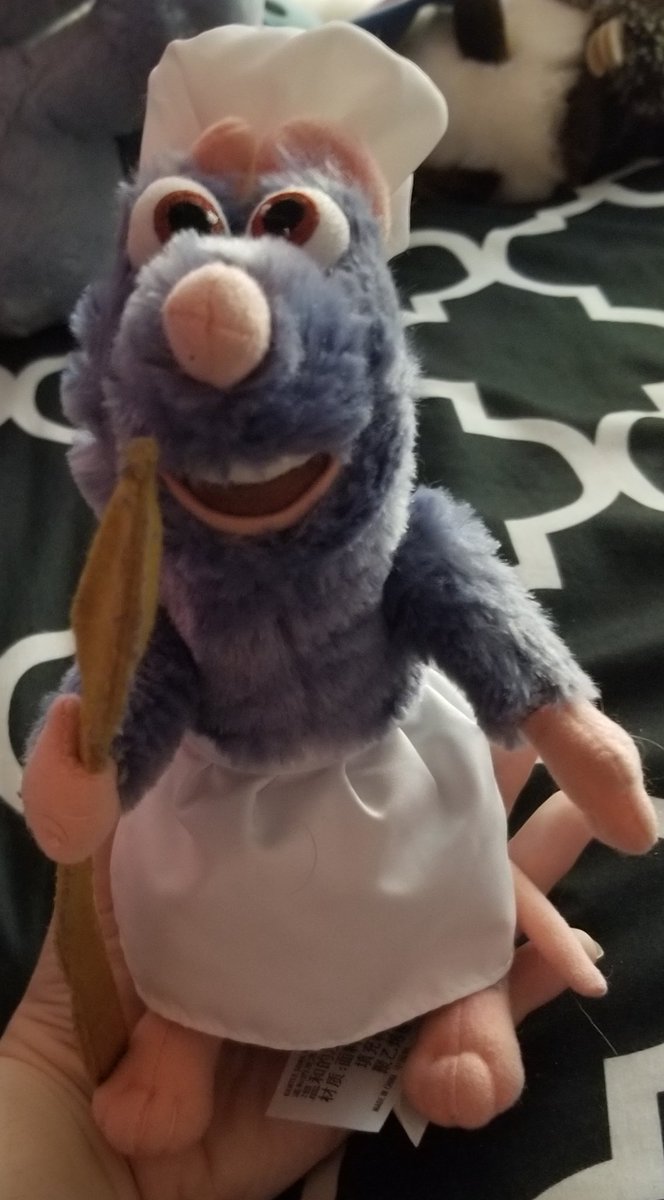 REMY 10/10 he scares me but I love him.