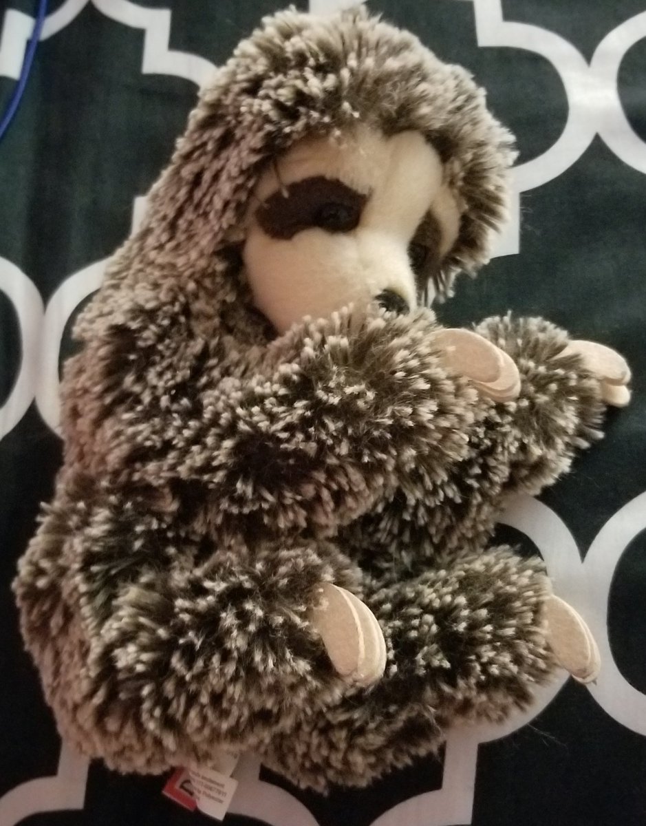 sloth friend! 10/10 SHE'S SO FUCKING SOFT