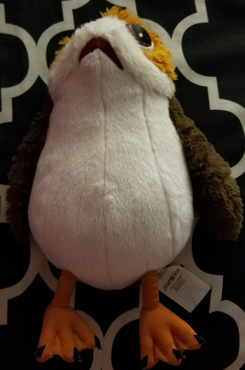 PORG (his name is porkchop bc I can) 11/10 he sits in my lap during school calls nd presentations in case I get anxious nd my entire history class loves him.