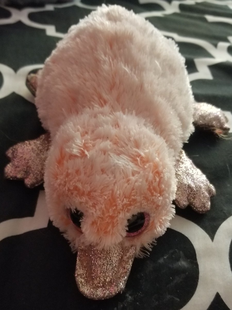 Perry 9/10 I love them but I do not like the texture of the glitter on their hands nd beak :( still a wonderful friend tho!