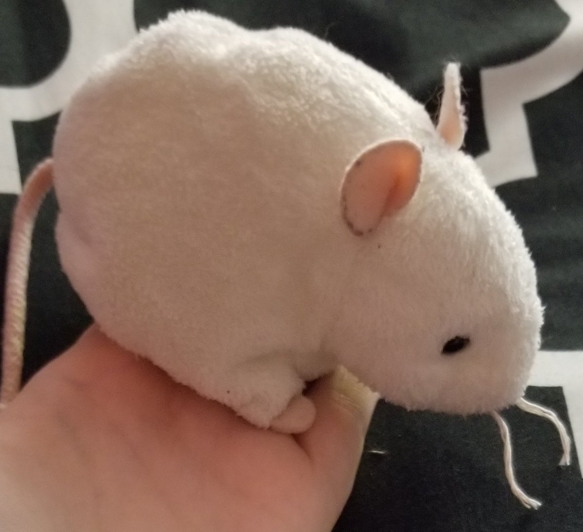 emotional support mouse 10/10 I keep her w/me at all times nd she is a very good friend 