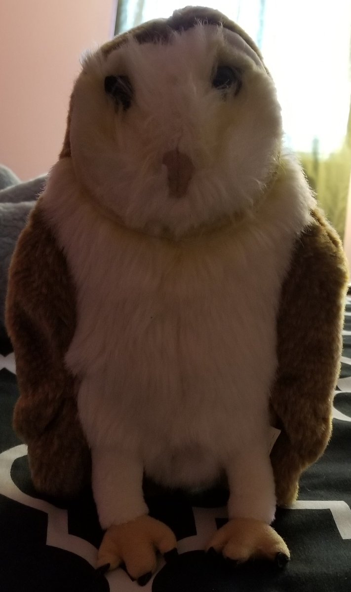 owl 5/10 not very cuddly nd her eyes scare me. she is still a wonderful friend though!